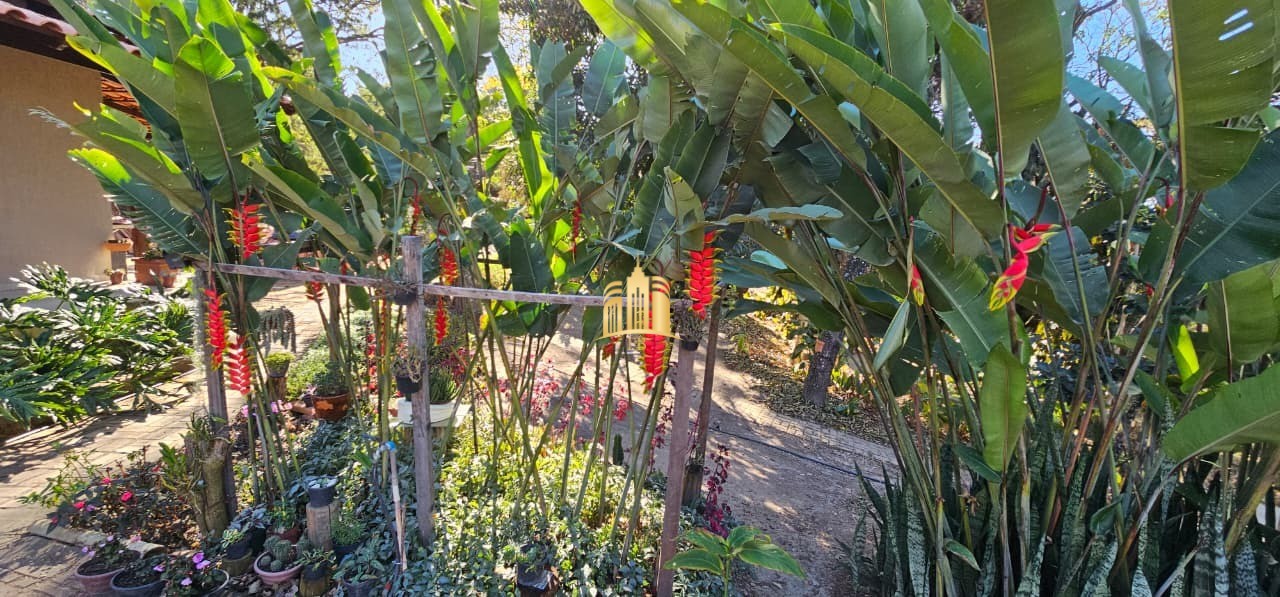 Sítio, 5 quartos, 2 hectares - Foto 62