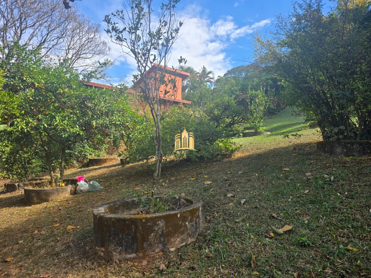 Sítio, 3 quartos, 5000 m² - Foto 20