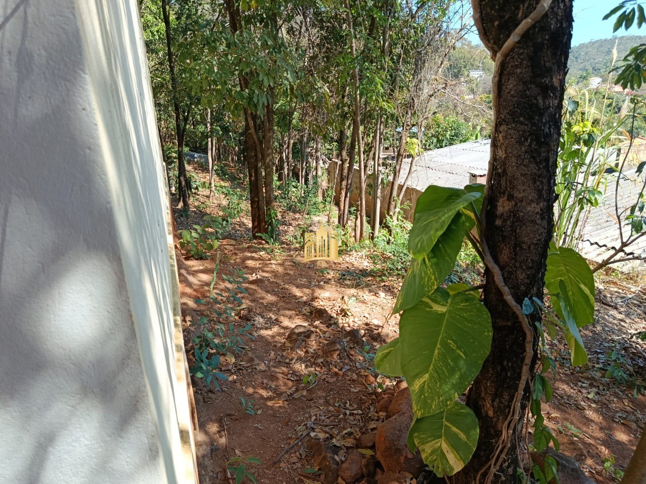 Sítio, 3 quartos, 1000 m² - Foto 2