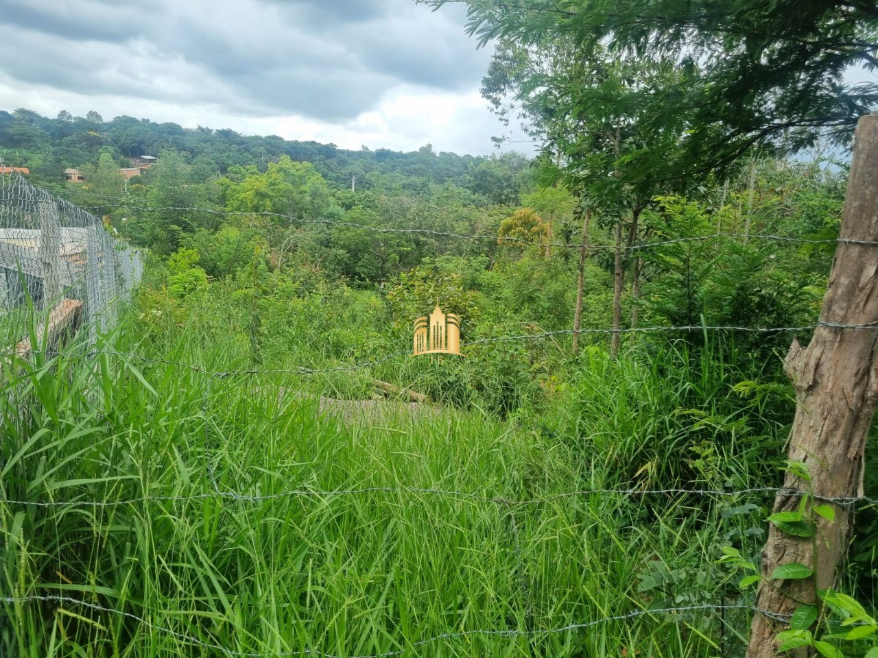 Terreno, 1499 m² - Foto 5