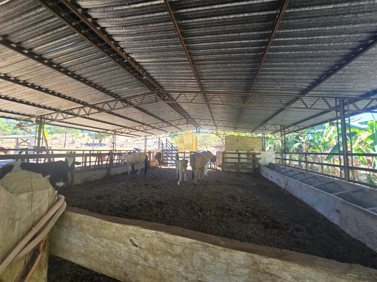 Fazenda, 1 hectares - Foto 35