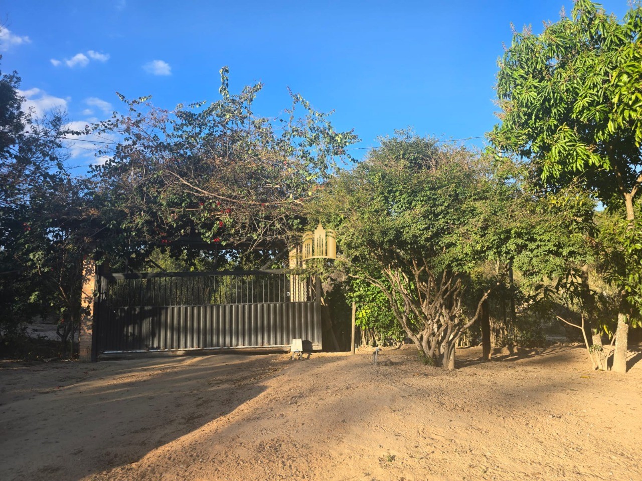 Sítio, 3 quartos, 7000 m² - Foto 5