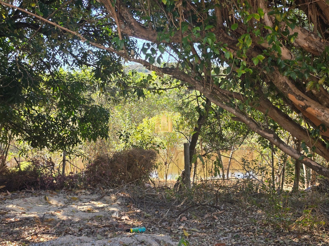 Fazenda, 6 hectares - Foto 29