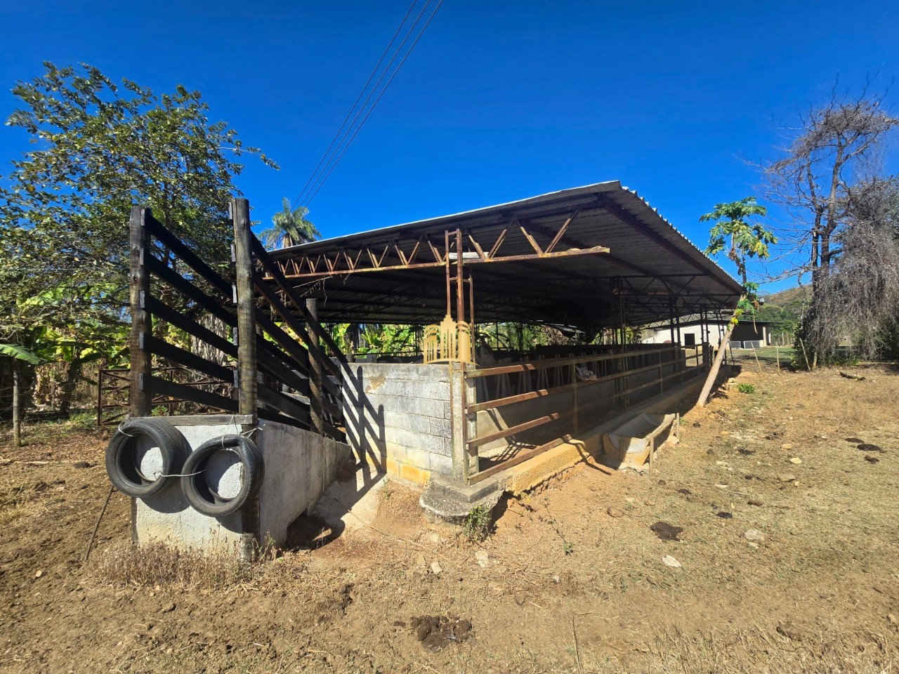 Fazenda, 1 hectares - Foto 41