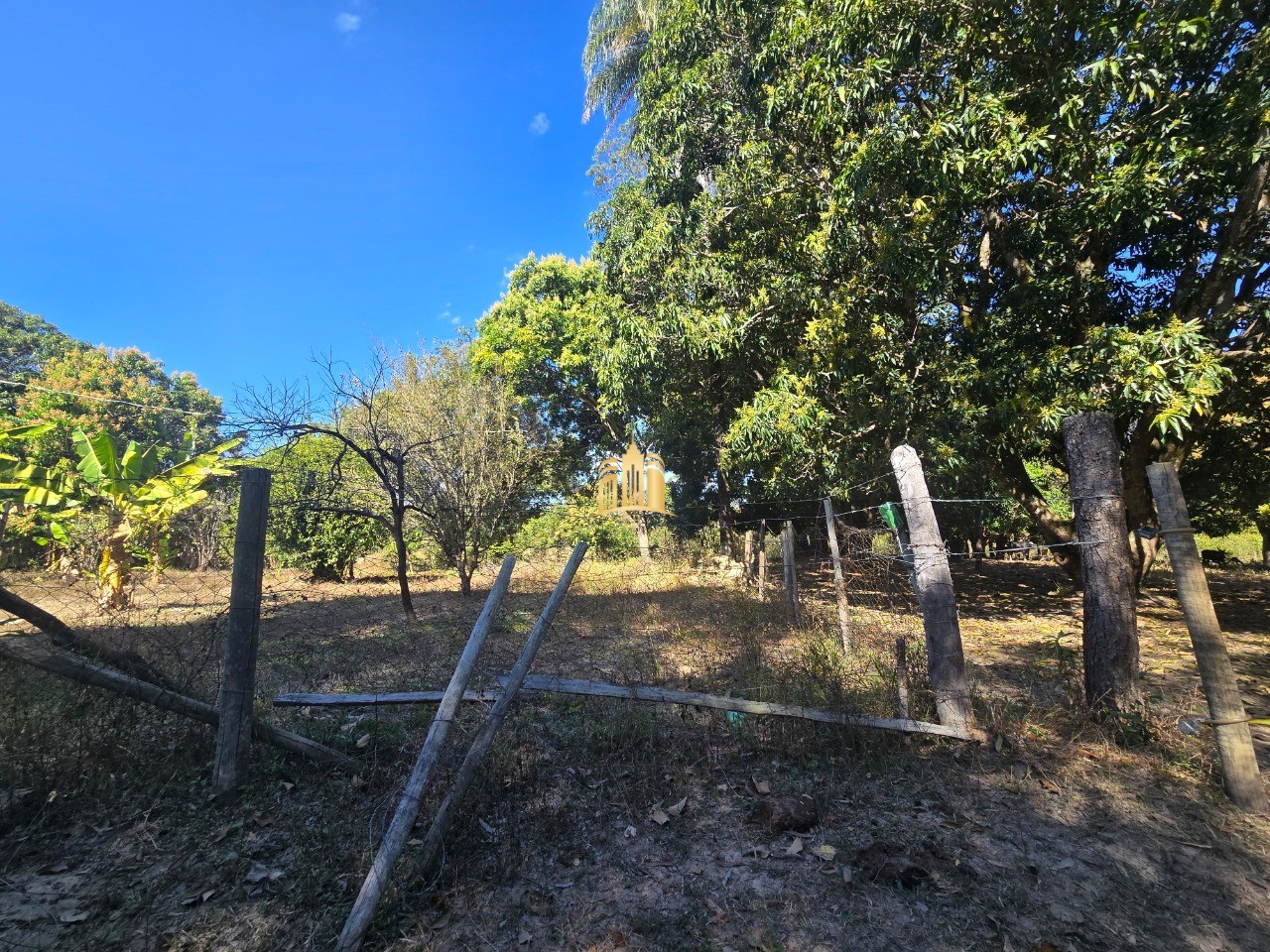 Fazenda, 6 hectares - Foto 26