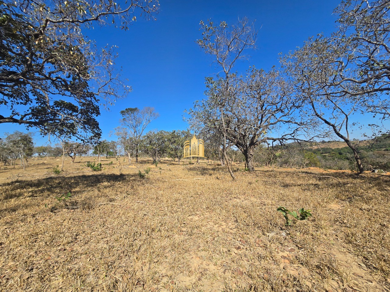 Fazenda, 6 hectares - Foto 71