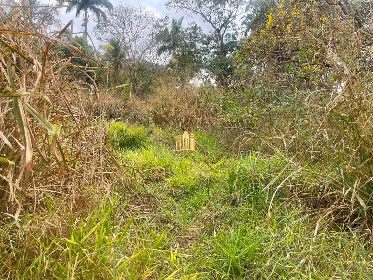 Terreno, 1135 m² - Foto 4