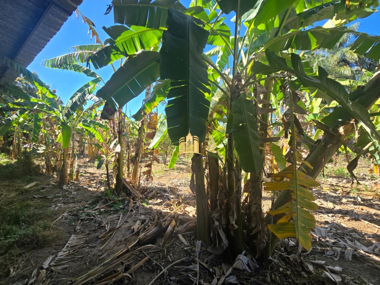 Fazenda, 1 hectares - Foto 29