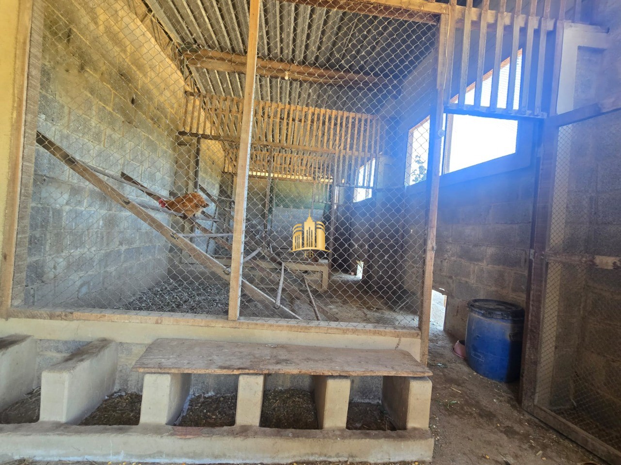 Fazenda, 1 hectares - Foto 23