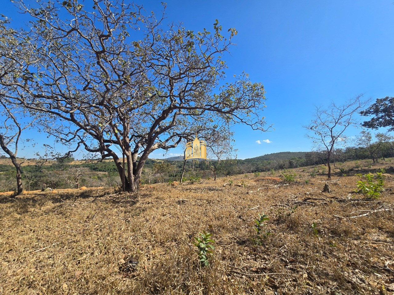Fazenda, 6 hectares - Foto 73