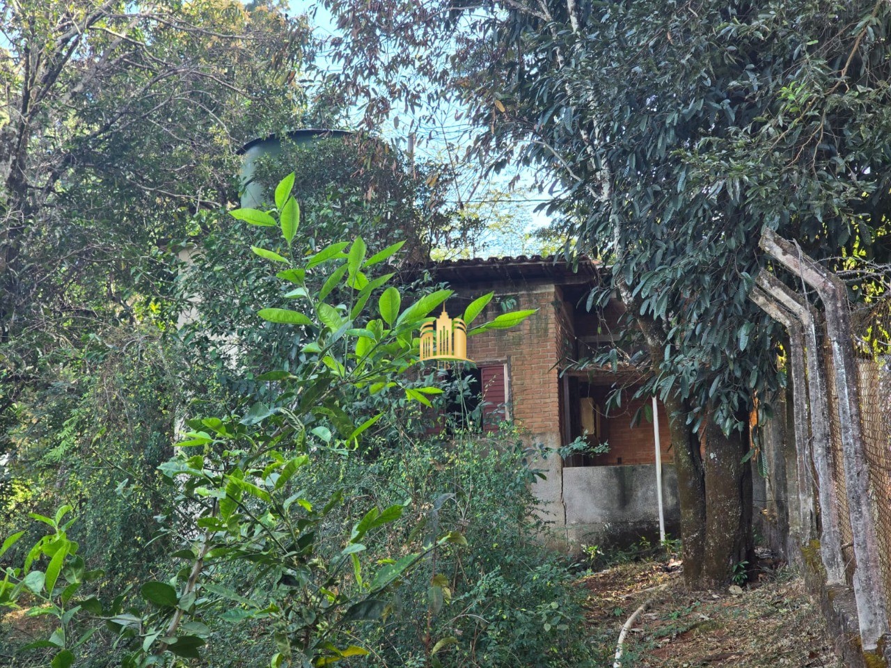 Sítio, 3 quartos, 5000 m² - Foto 34