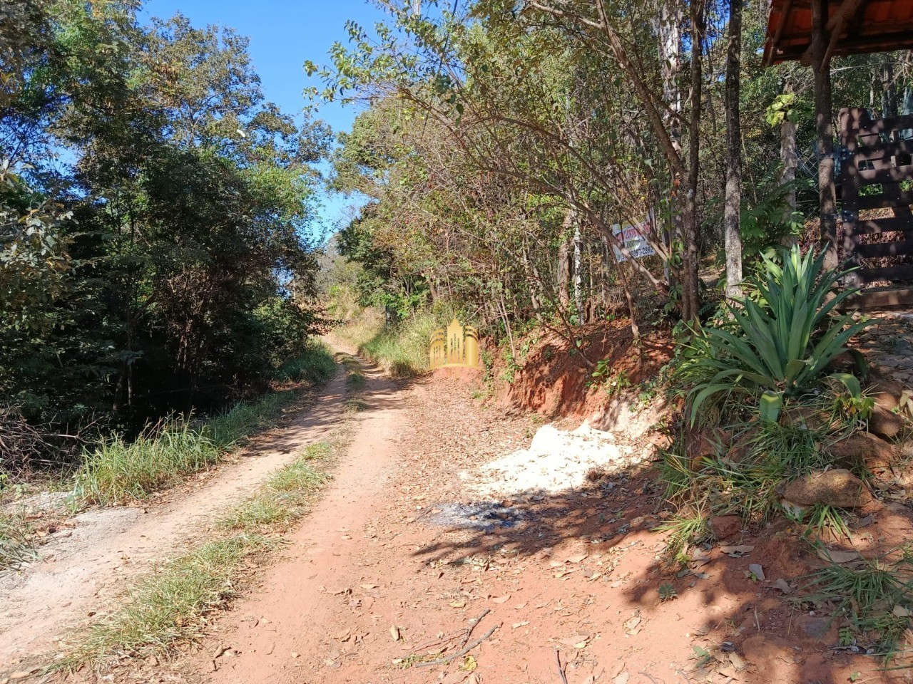 Sítio, 3 quartos, 1000 m² - Foto 41