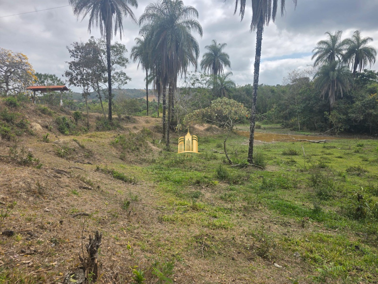 Fazenda, 10 hectares - Foto 49