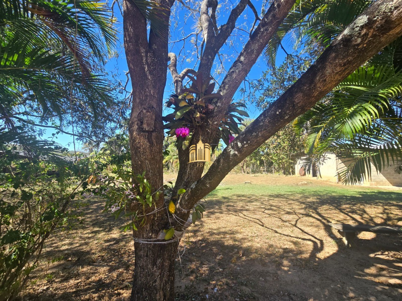 Fazenda, 1 hectares - Foto 11