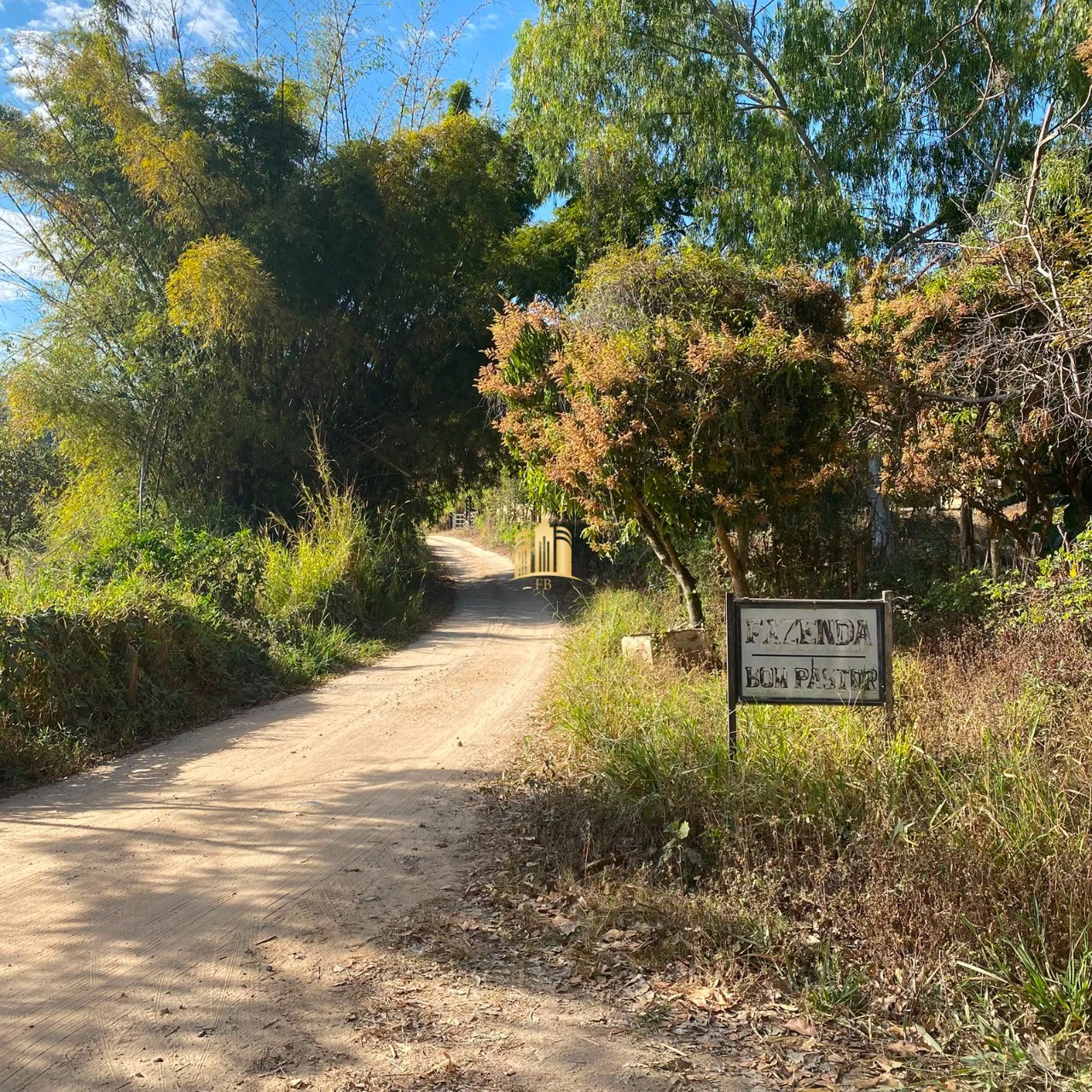 Fazenda, 7 hectares - Foto 10