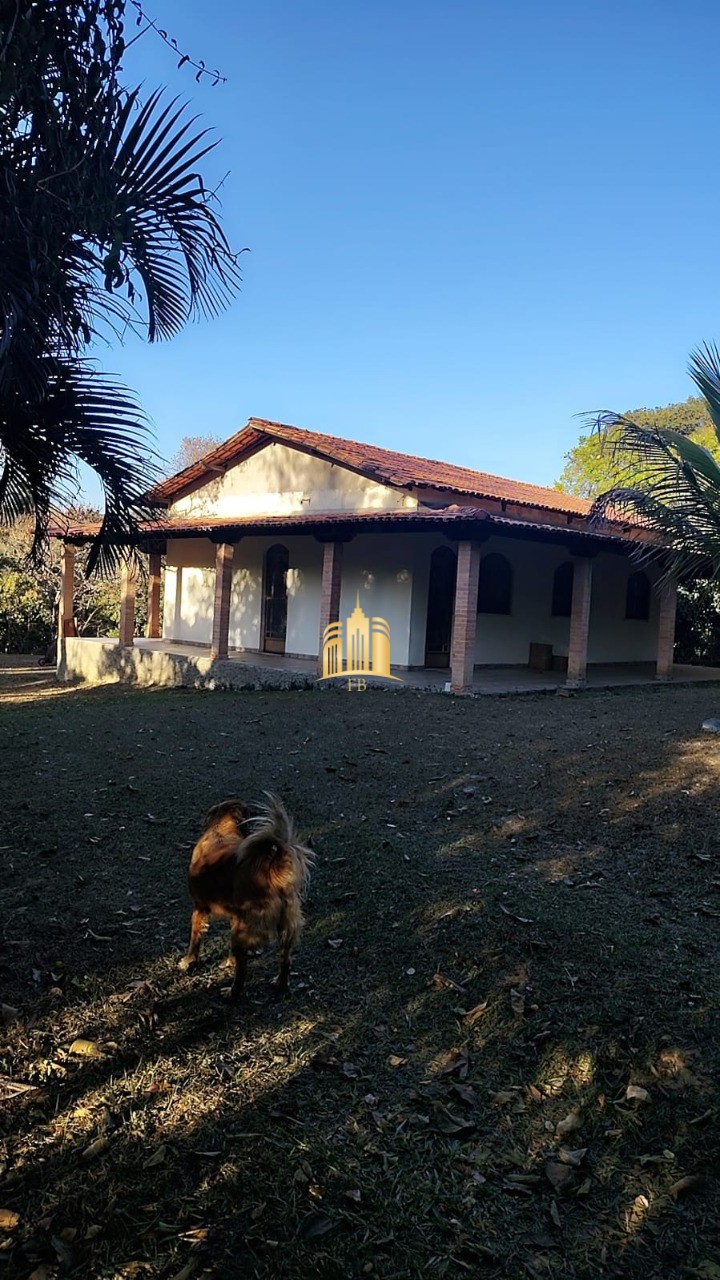 Sítio, 3 quartos, 5000 m² - Foto 22