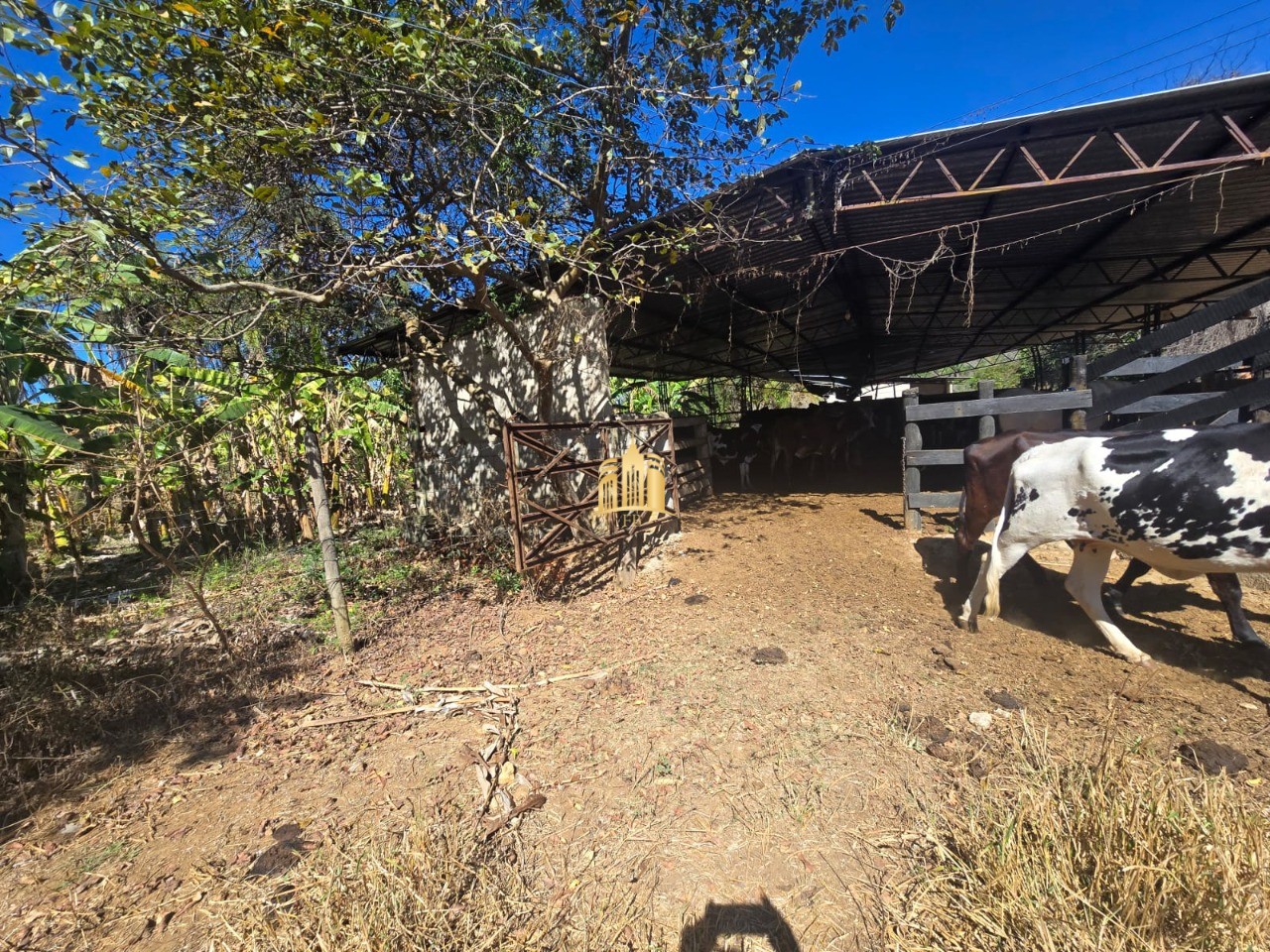 Fazenda, 1 hectares - Foto 45