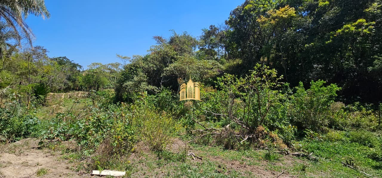 Fazenda, 3 hectares - Foto 79