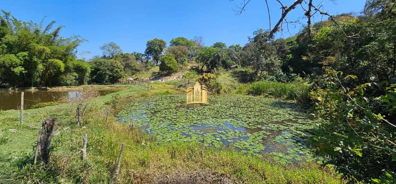 Fazenda, 3 hectares - Foto 48