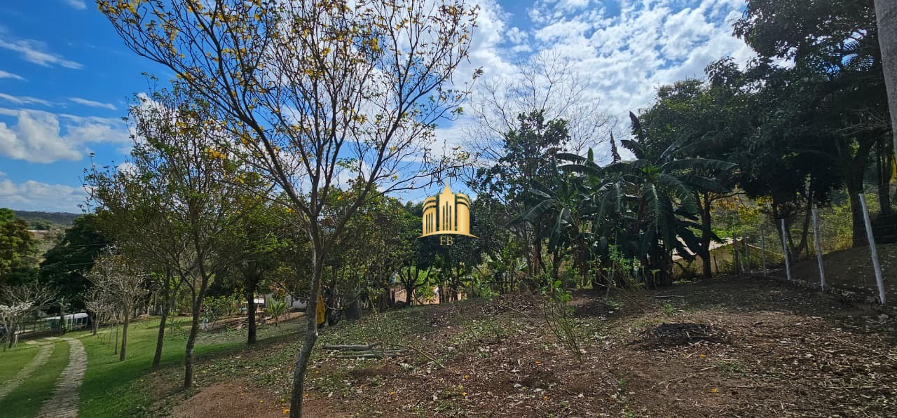Sítio, 4 quartos, 6 hectares - Foto 4