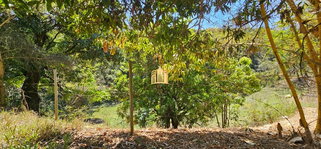 Fazenda, 3 hectares - Foto 2