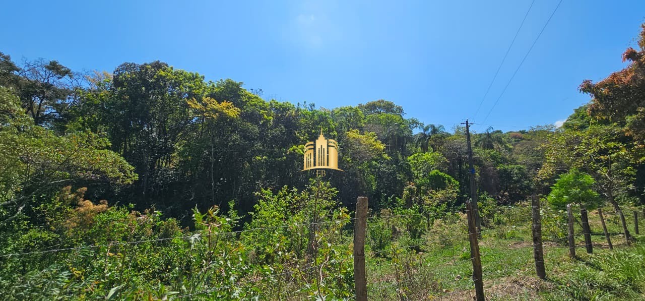 Fazenda, 3 hectares - Foto 81