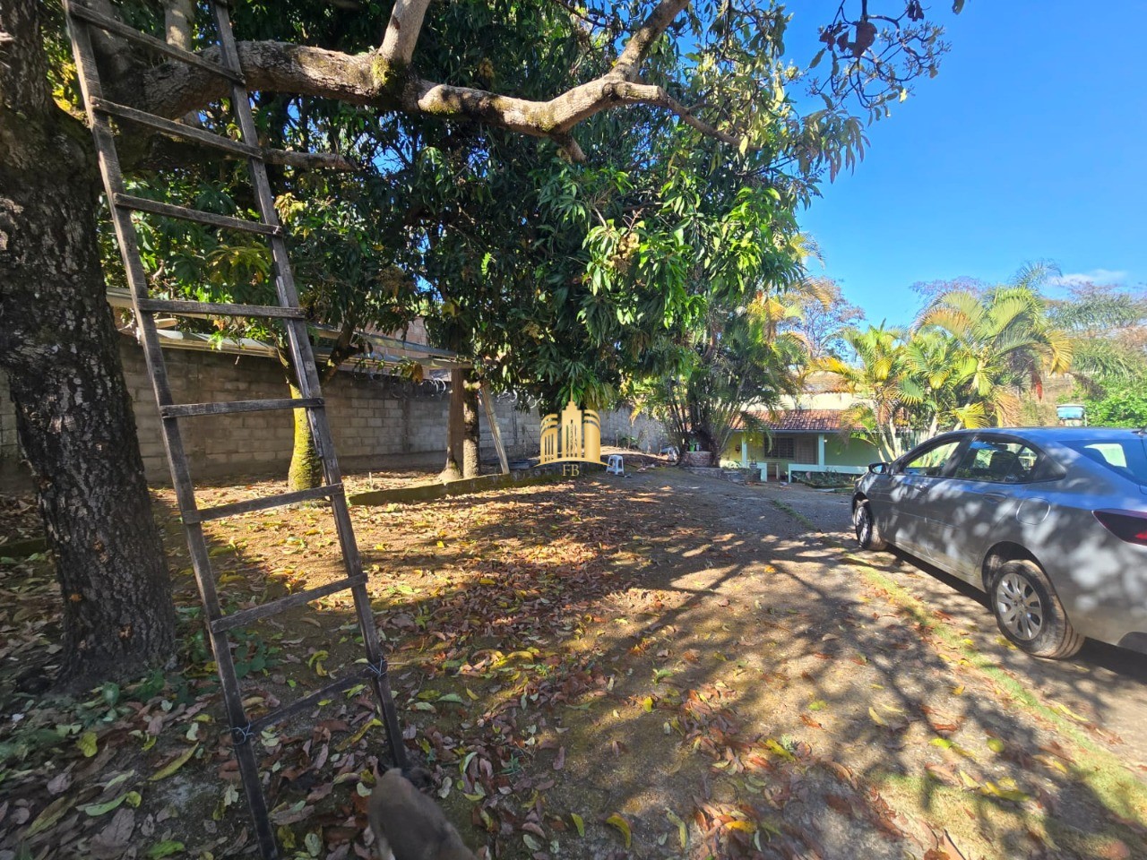 Sítio, 5 quartos, 1000 m² - Foto 3
