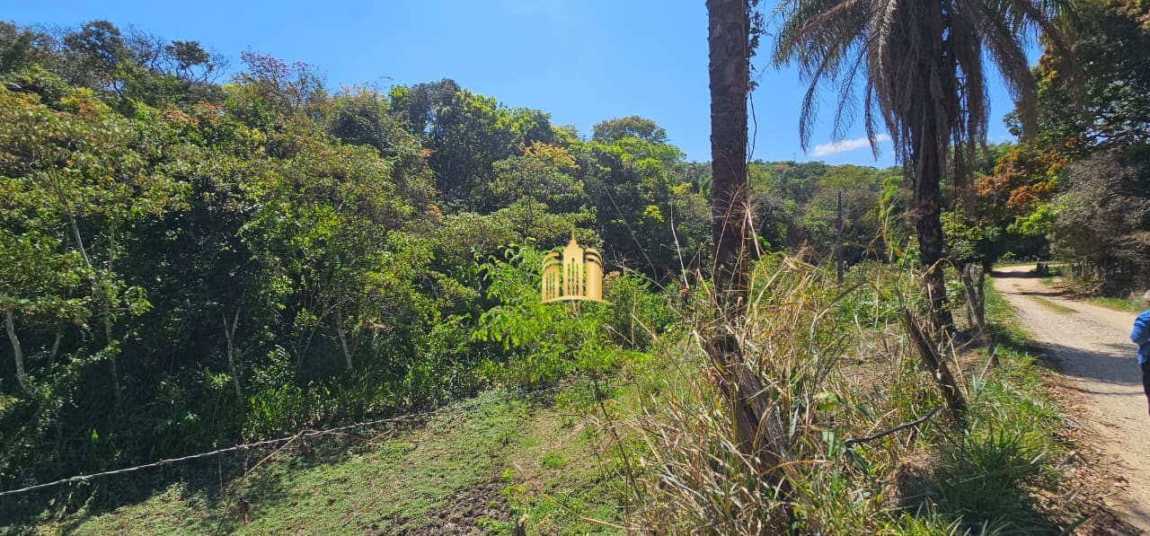 Fazenda, 3 hectares - Foto 17
