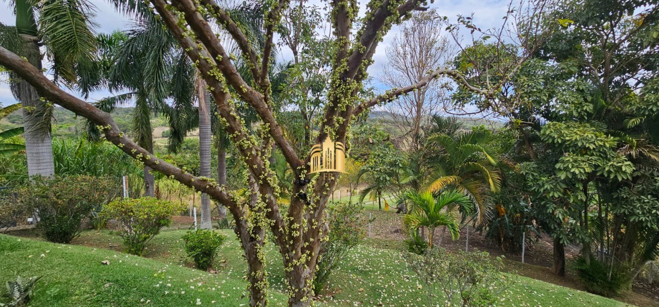 Sítio, 4 quartos, 6 hectares - Foto 49