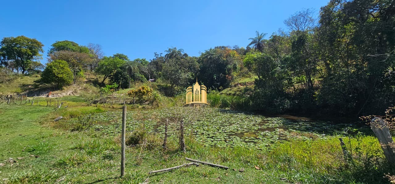 Fazenda, 3 hectares - Foto 75