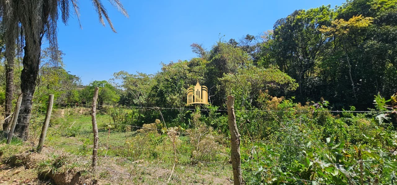 Fazenda, 3 hectares - Foto 14