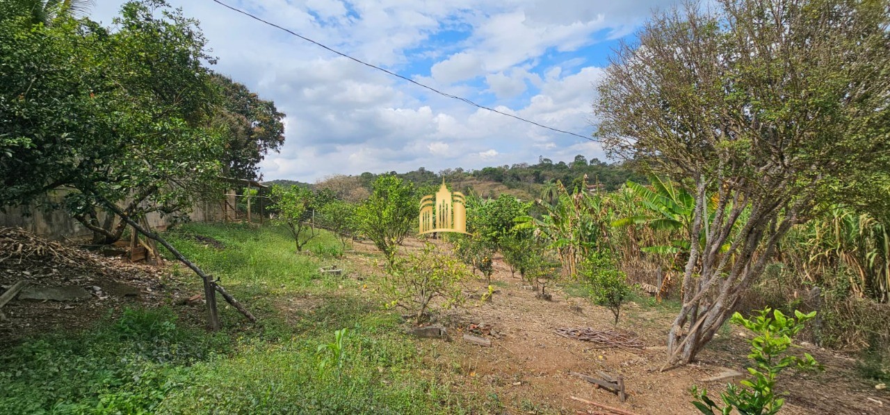 Sítio, 4 quartos, 6 hectares - Foto 80