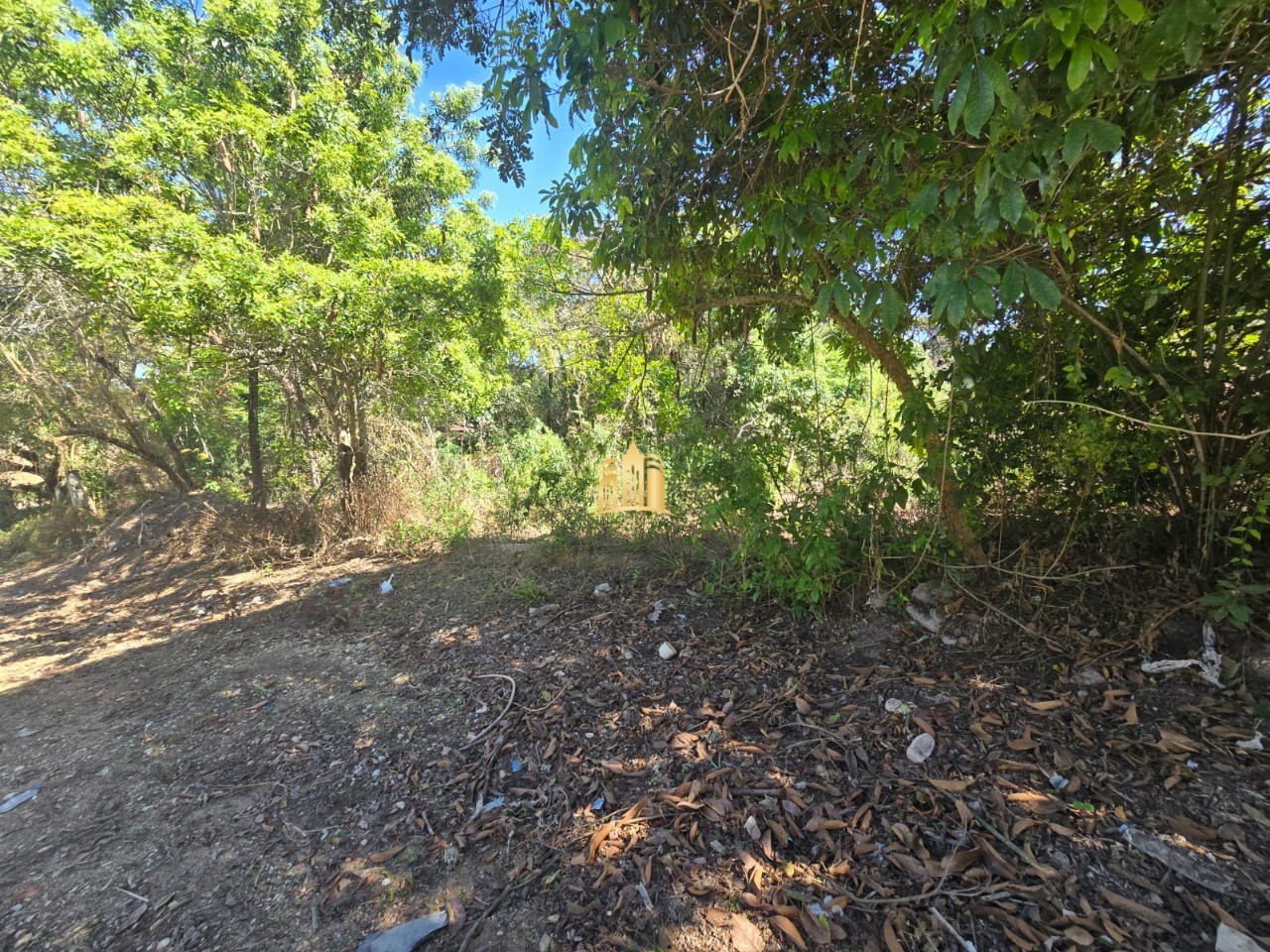Terreno, 450 m² - Foto 5