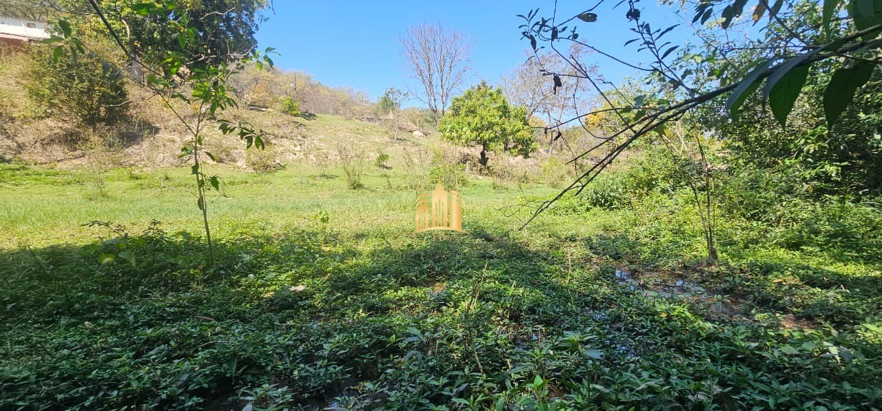 Fazenda, 3 hectares - Foto 92