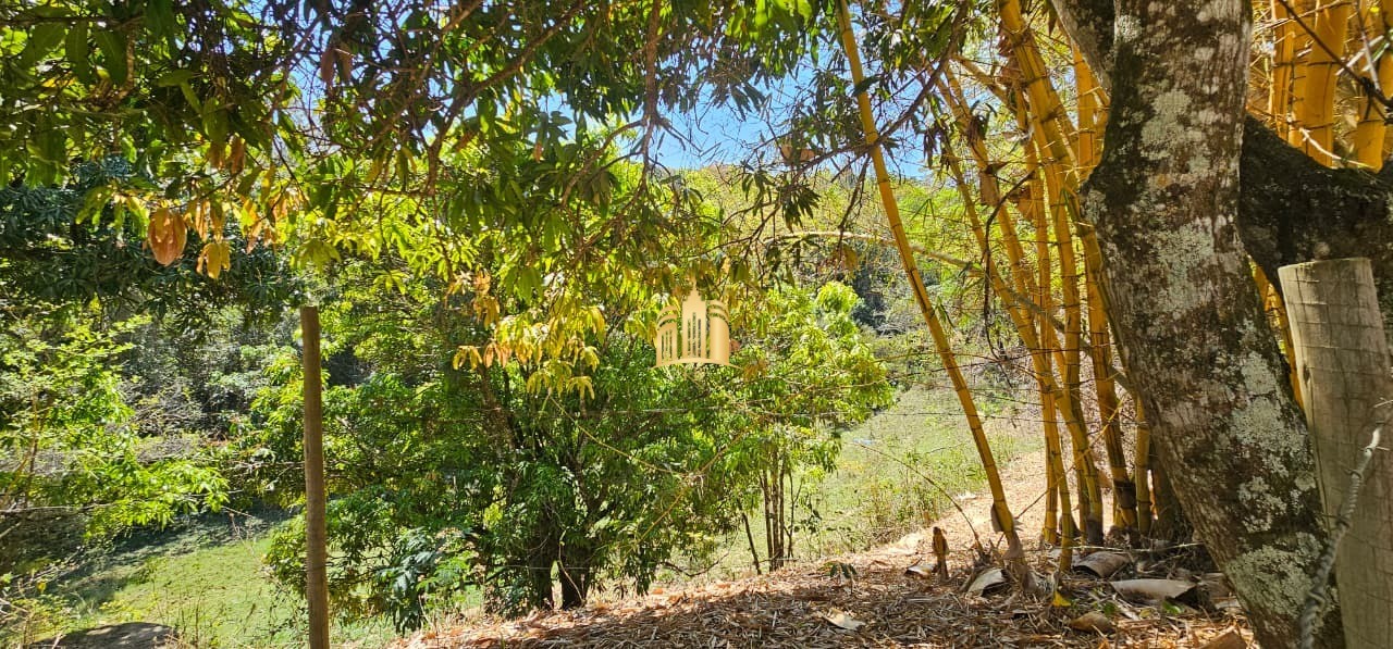 Fazenda, 3 hectares - Foto 8
