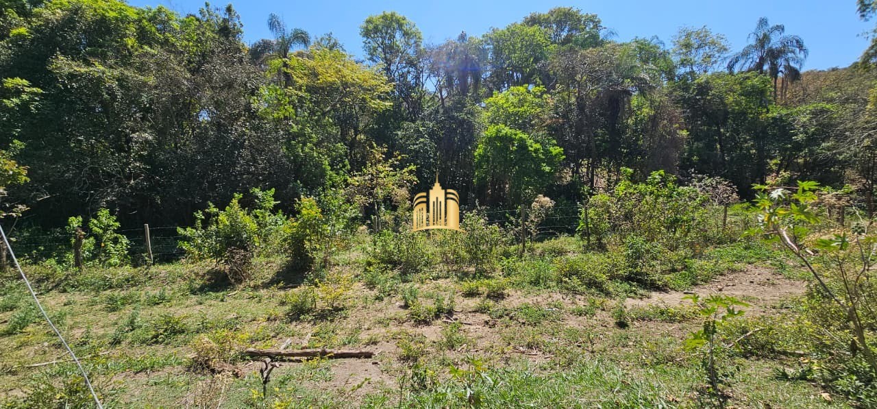 Fazenda, 3 hectares - Foto 10