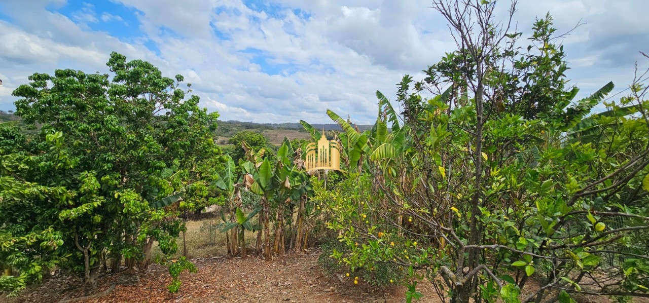 Sítio, 4 quartos, 6 hectares - Foto 81