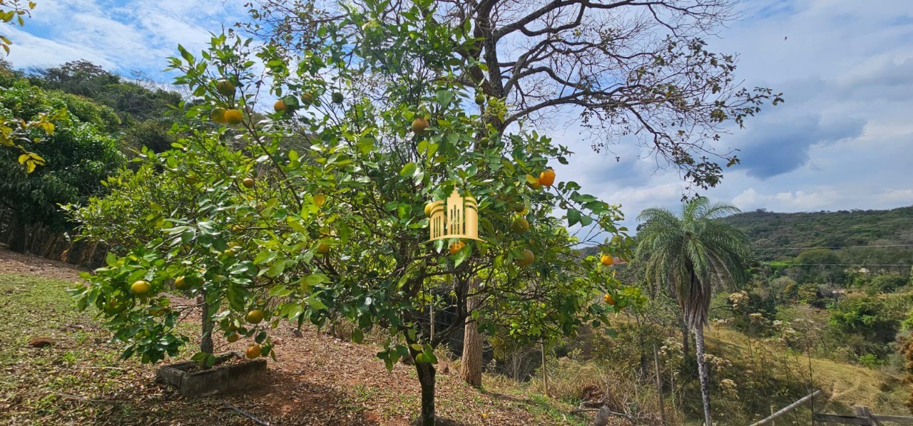 Sítio, 4 quartos, 6 hectares - Foto 89