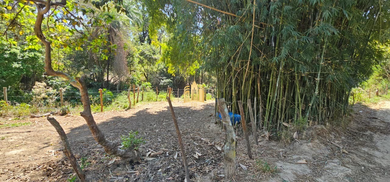 Fazenda, 3 hectares - Foto 11