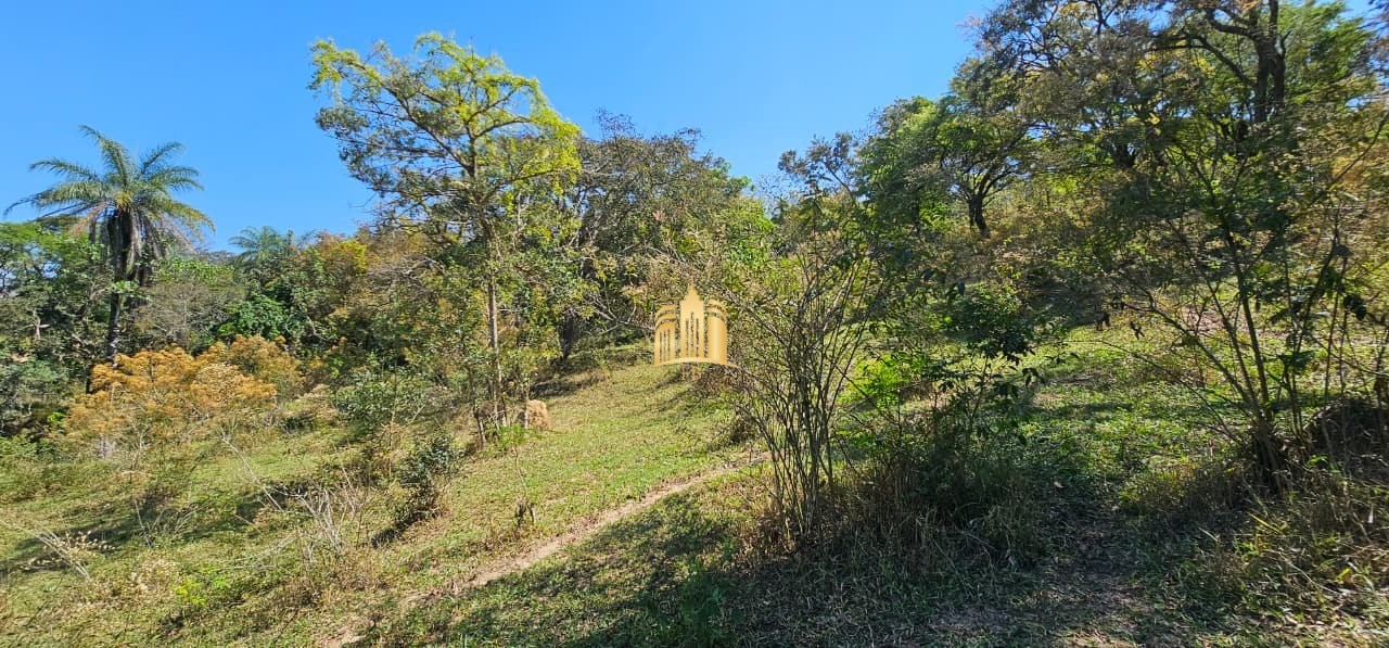 Fazenda, 3 hectares - Foto 93