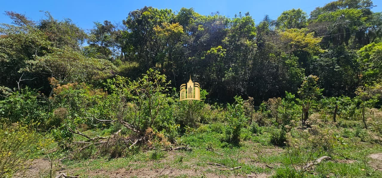 Fazenda, 3 hectares - Foto 12