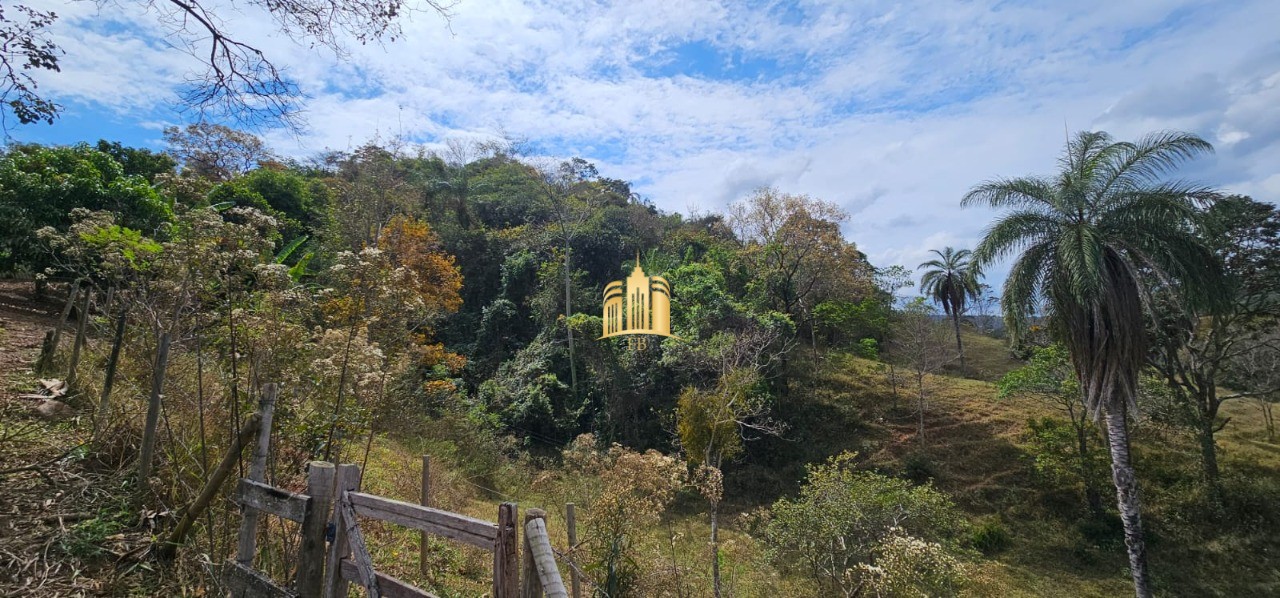 Sítio, 4 quartos, 6 hectares - Foto 86