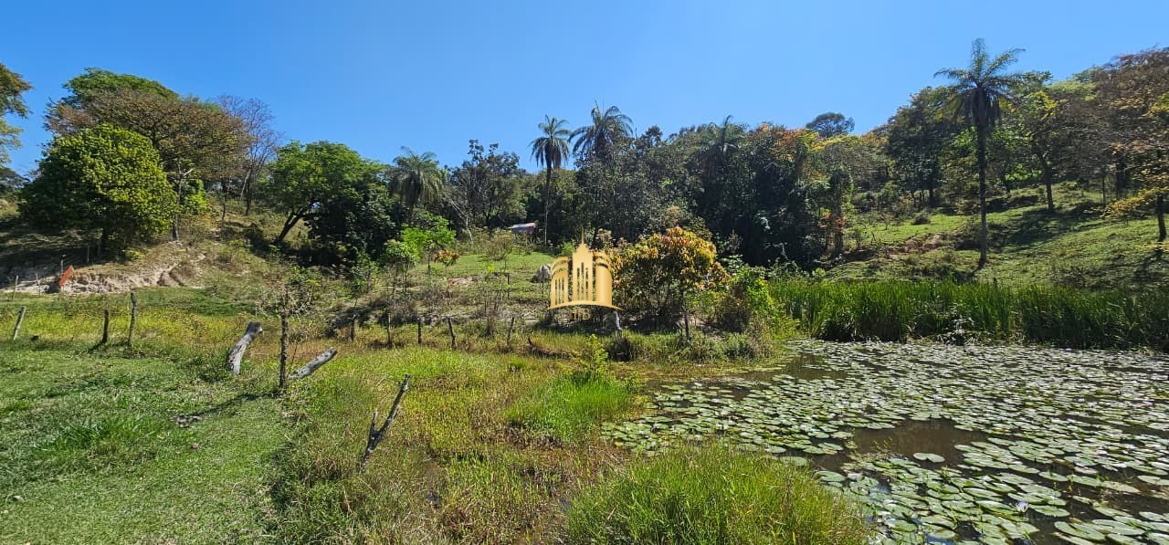 Fazenda, 3 hectares - Foto 67