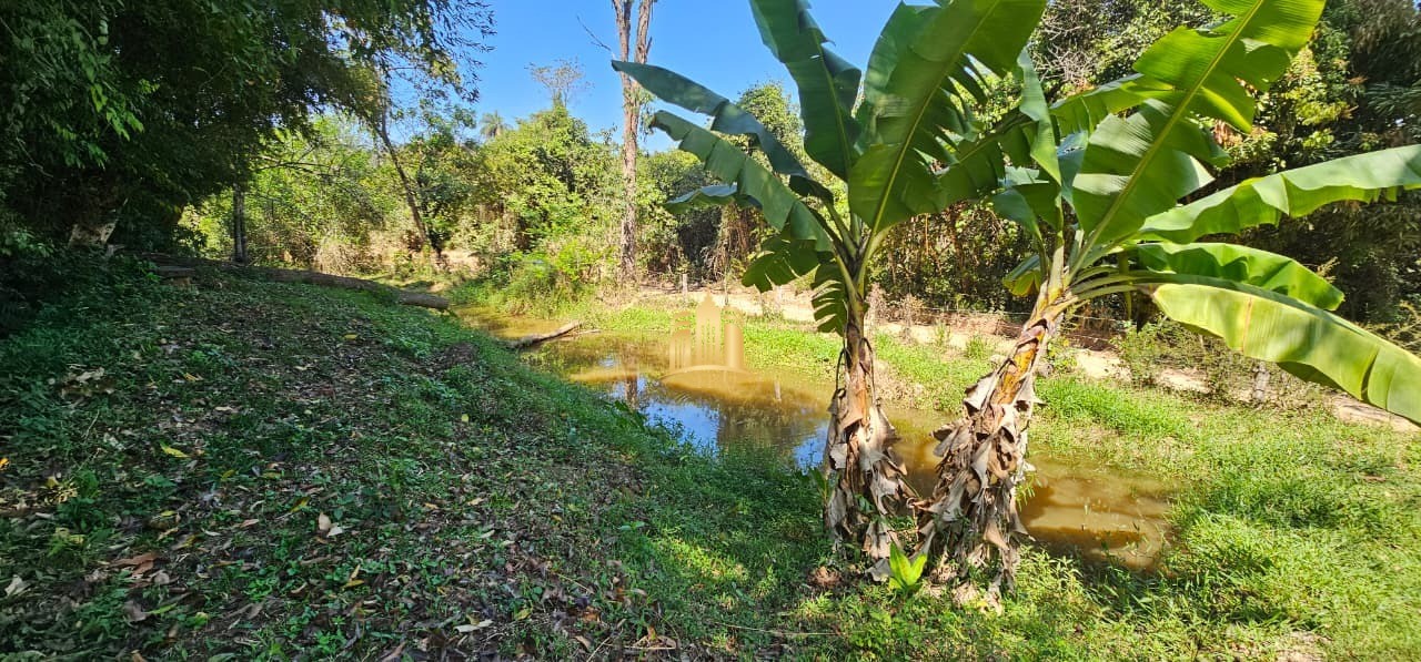 Fazenda, 3 hectares - Foto 88