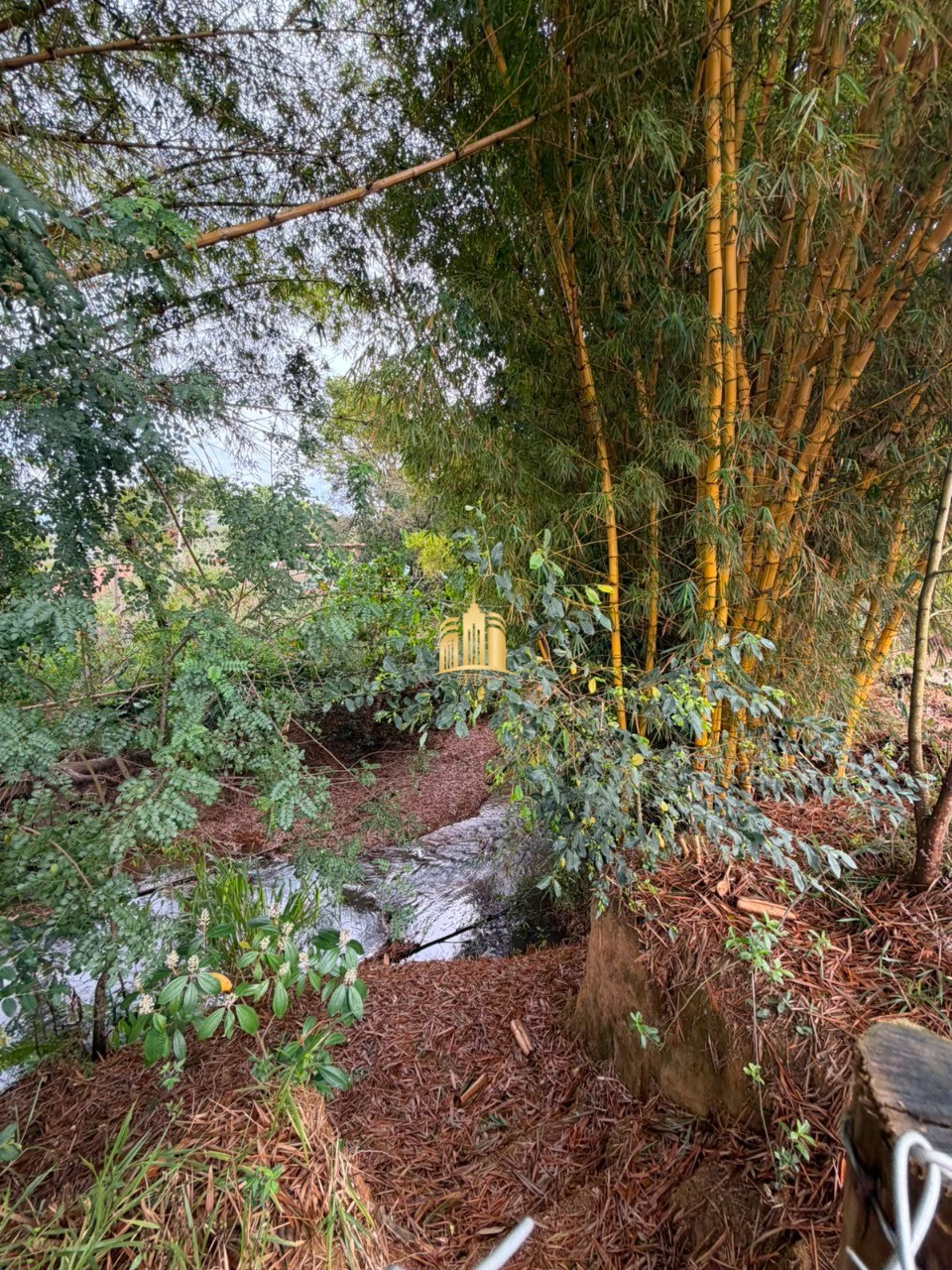 Sítio, 2 quartos, 1000 m² - Foto 10