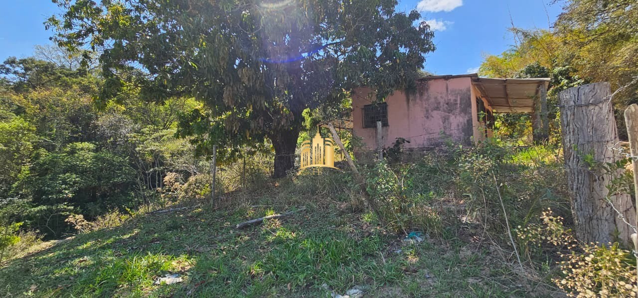 Fazenda, 3 hectares - Foto 9