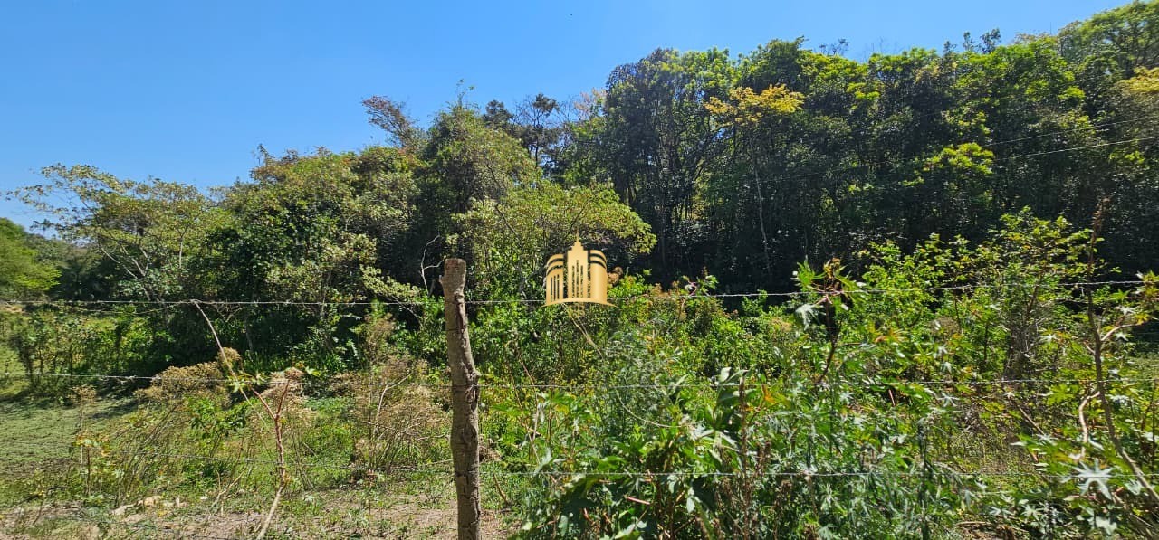Fazenda, 3 hectares - Foto 13