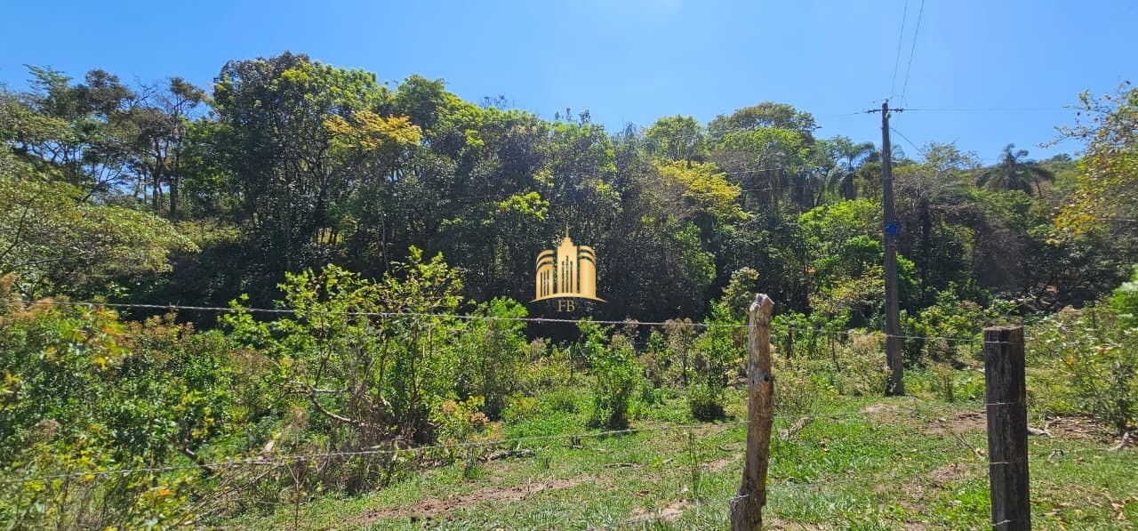Fazenda, 3 hectares - Foto 19