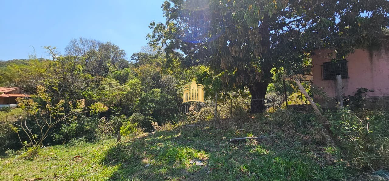 Fazenda, 3 hectares - Foto 6