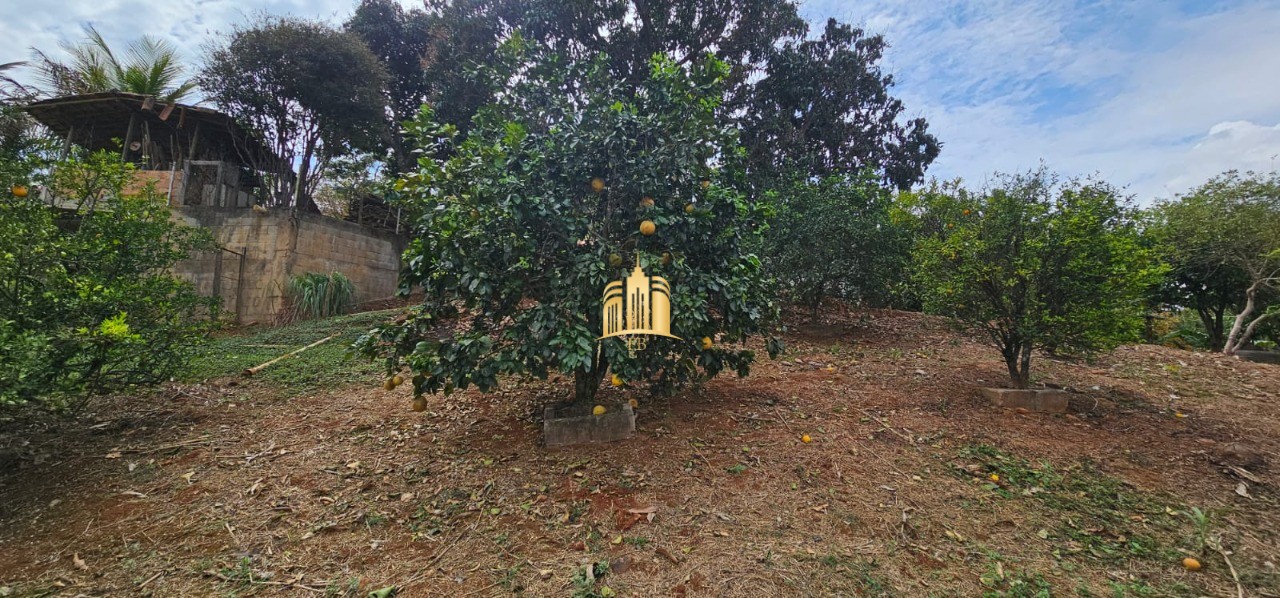 Sítio, 4 quartos, 6 hectares - Foto 84